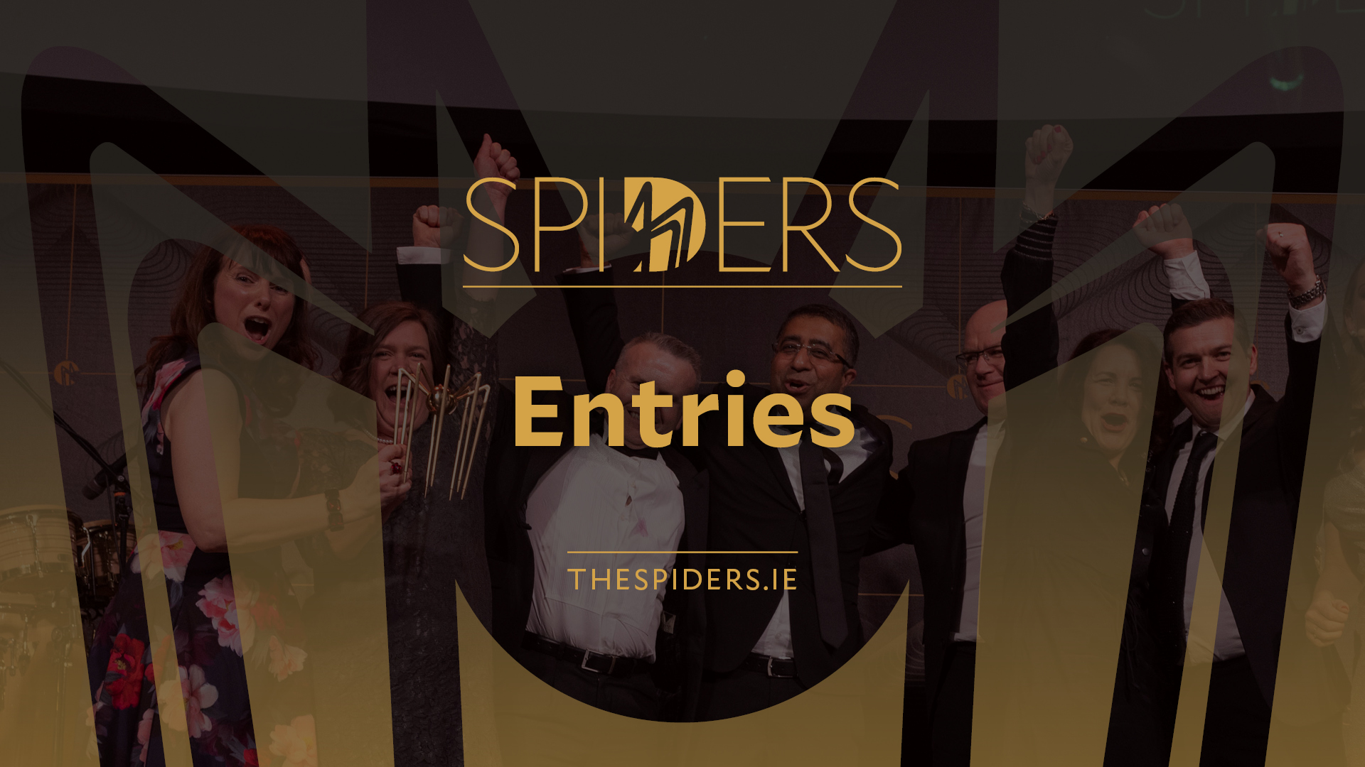 Entries For The Spider Awards 1st March 2024   Spiders Website Feature Images16 