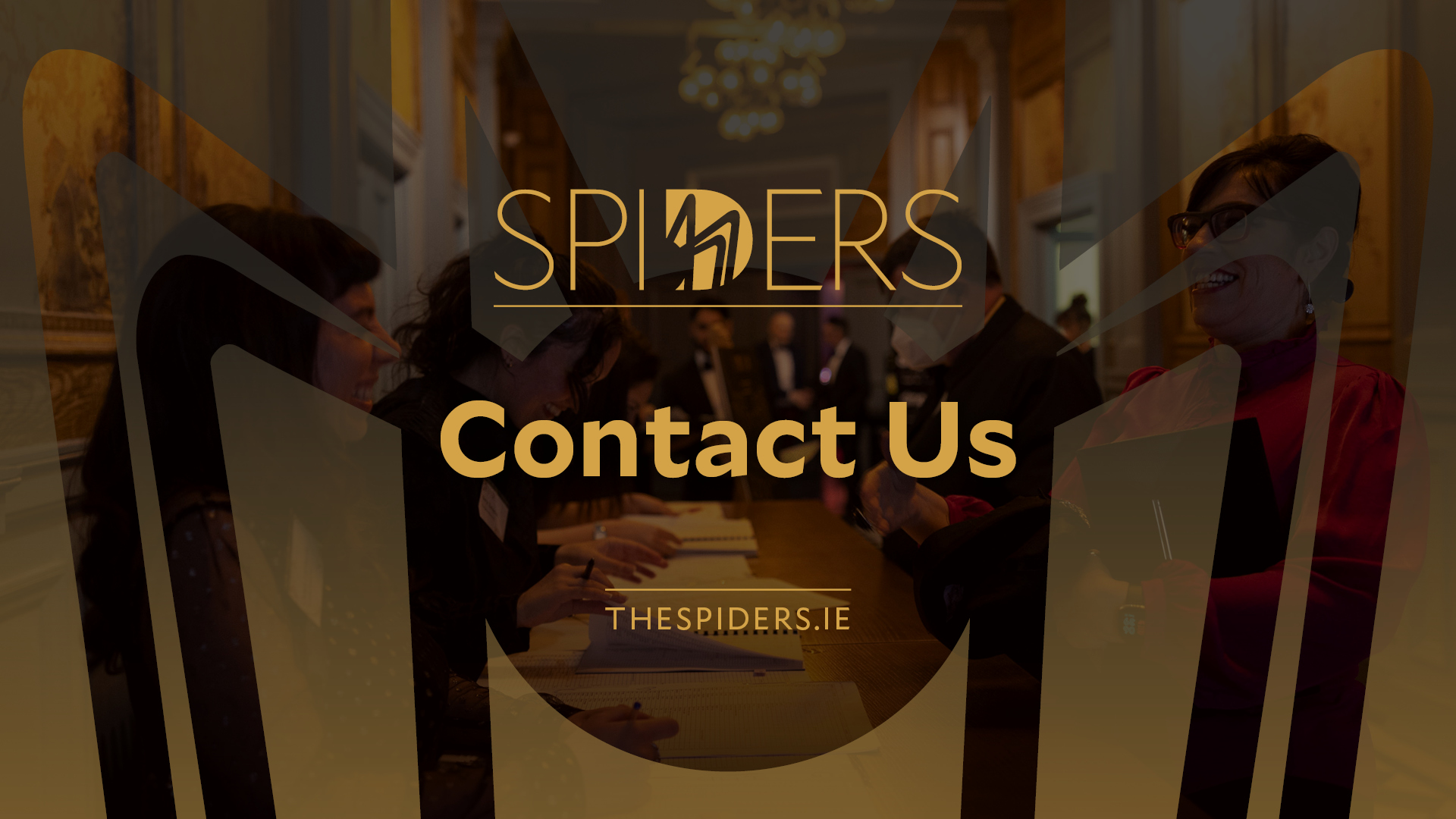 Contact The Spider Awards 2024   Spiders Website Feature Images7 